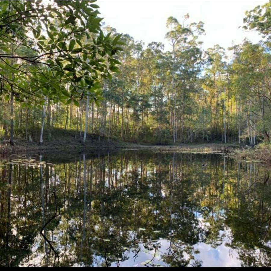 Гостевой дом Oakey Creek Country Retreat Kenilworth Gheerulla Экстерьер фото